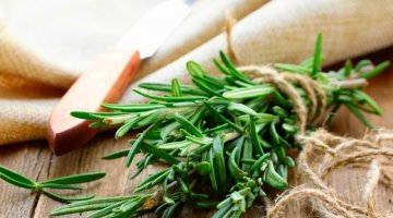 Alecrim - Seu Grande Poder