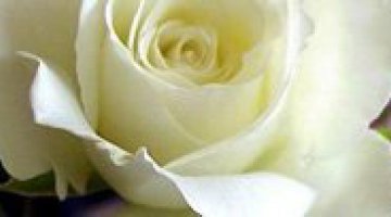 Banho de harmoniza��o