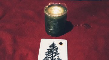 Carta do Dia 21/10/2020