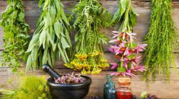 Banho de Prote��o