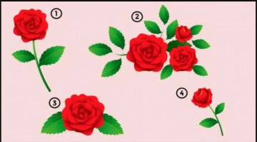 ESCOLHA UMA DAS ROSAS